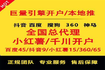 SEM服务案例：助力企业拓展海外市场